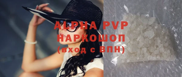 гидра Тайга