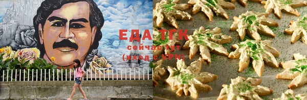 стаф Тавда